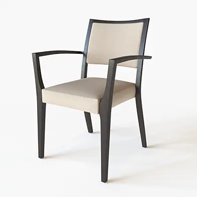 Chair Arvo Dietiker