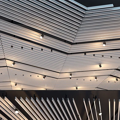 False ceiling rack. 29th
