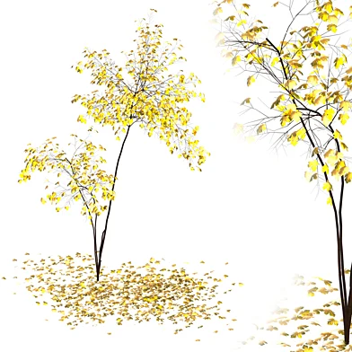acer fall 02