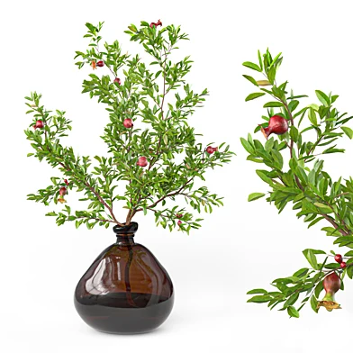 Pomegranate branch in a glass vase