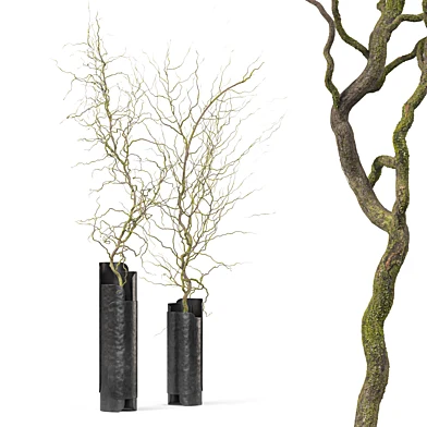 Decorative branches in black metal vases Leaf by Dan Yeffet
