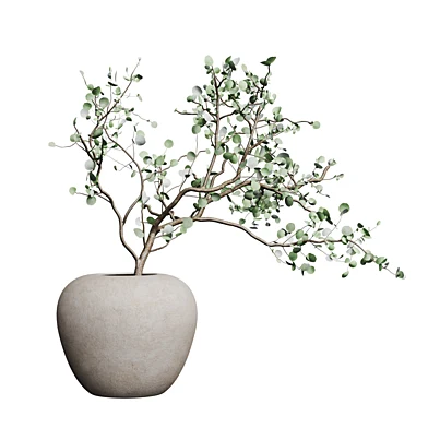 Eucalyptus branch in a vase 2.