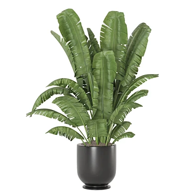 Indoor Plants Rusty Concrete Pot_Set 4980