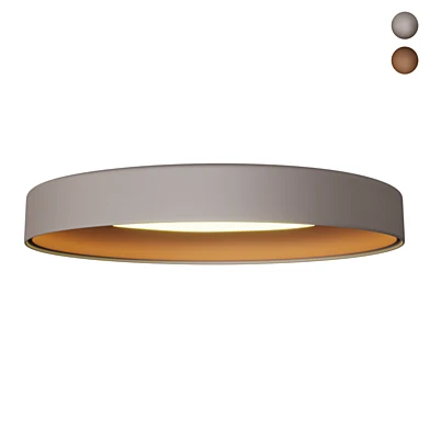 Ceiling lamp