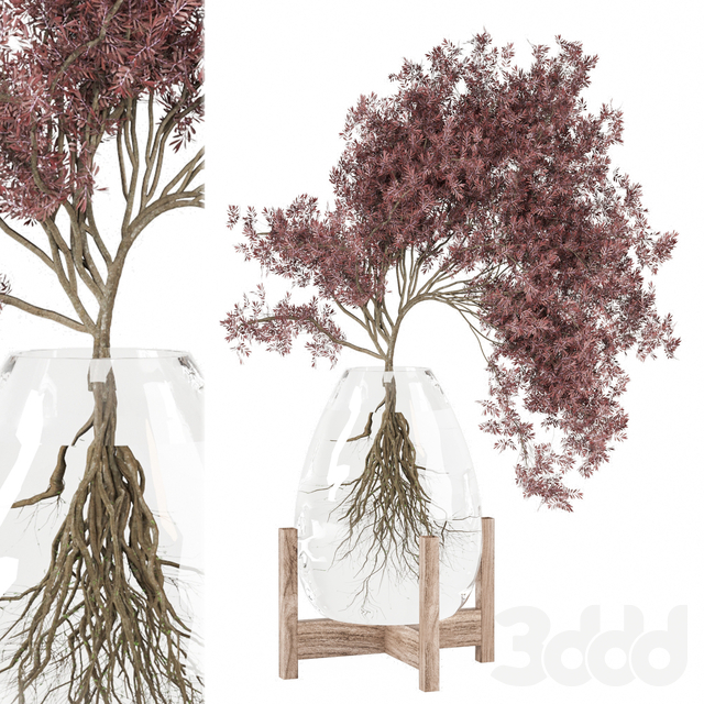 Indoor Plants Collection 2141
