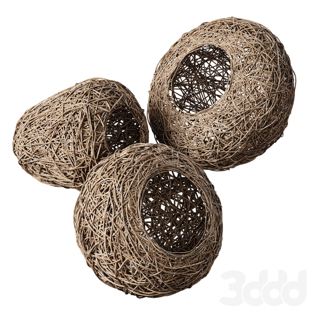 Nest n7