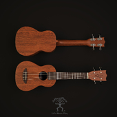 Ukulele Aqua One &amp; Only 001