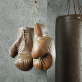 Champion (Boxing equipment)