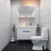 Scandinavian toilet_2013