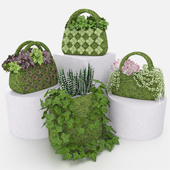 A set of bags - phyto-composition.