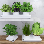 Spicy herbs for the kitchen in the pots from Sagaform