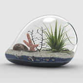 Florarium in the marine style