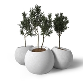 CONCRETE PLANTER / ROUND / MODULAR / CONTEMPORARY ESFERA BY EMILIANA DESIGN