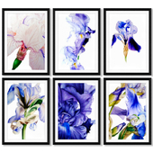 A series of posters with flowers.