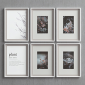 Picture Frames Set-72