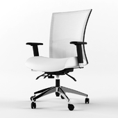 chair vion