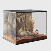 Terrarium