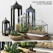 Pottery barn GLASS TERRARIUM
