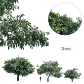 Cherry set 1