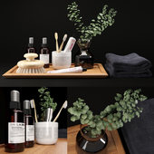 LA Bruket decor set for bathroom with Hamelia Patens plant