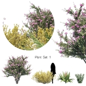 Plant set 1