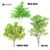 set of tree 21-corona