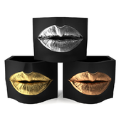 vase Lips