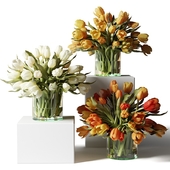 Yellow, red and white tulips in glass vases