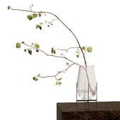 Branch in a vase