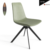 Toocha Dining Chair