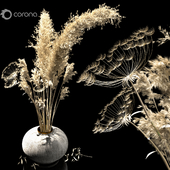dried flowers
