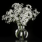 Bouquet 32 gypsophila