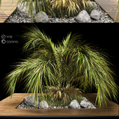 palm tree