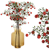 Dry pomogranete