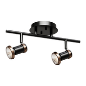 Chandelier Tayte Black and Gold Two-Light Track Light Fixture