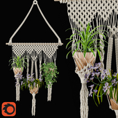 Macrame planter 1
