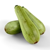 Zucchini