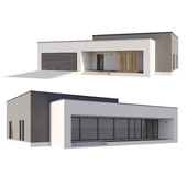Modern house