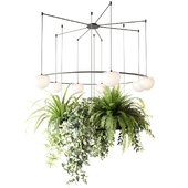 CIRC Suspension lamps Pendants chandelier with ampelous plants