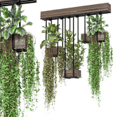 indoor hanging plants in metal box Set 813