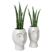 Binome La Redoute Decorative planters with plants