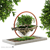 bonsai tree vol 01