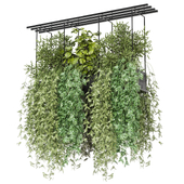 indoor hanging plants in metal box_ Set 909