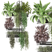 indoor hanging plants in metal box_ Set 910