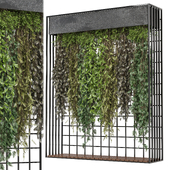 indoor hanging plants in metal box_ Set 911