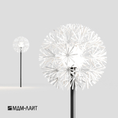 ODUONE / MDM-LIGHT