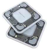 Microchip