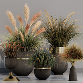 INDOOR PLANT SET 10