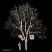 Trees with garlands