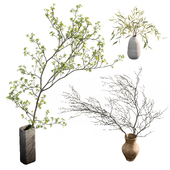 Branches in vases